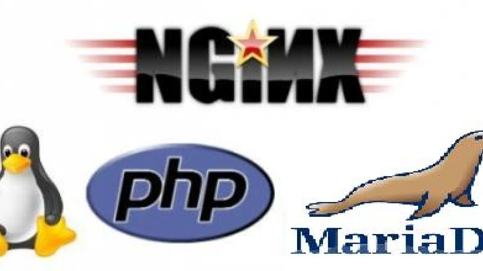 Nginx, MariaDB, PHP And phpMyAdmin installation