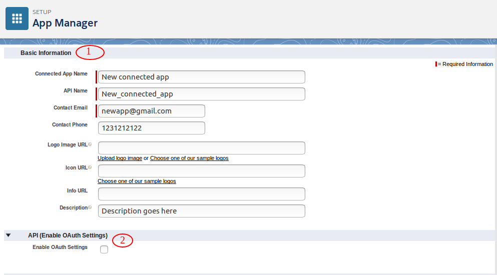 Form sections for creating app