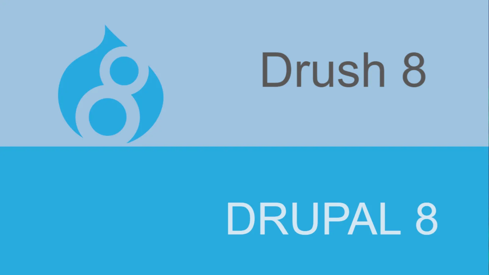 Drupal8 Development platform ready with Drush8!
