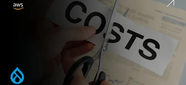 The Top 5 AWS Cost Optimization Tools Every Drupal Site Should Use
