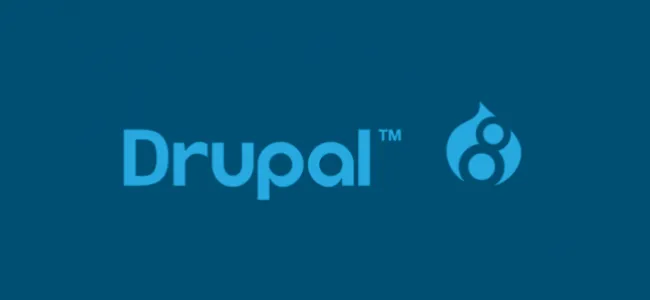 Indian IT Companies using Drupal Platform